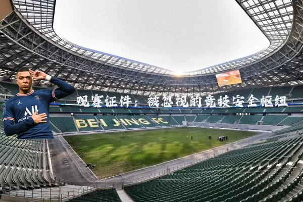 观赛证件：被忽视的竞技安全枢纽